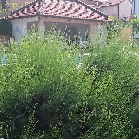 Апартаменты Sunny With Swimming Pool *